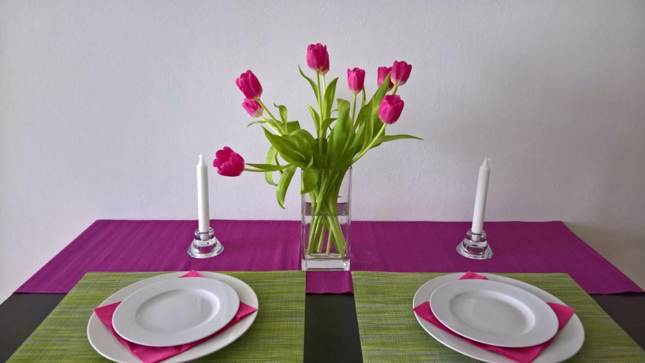 ברנו Apartman Zderadova מראה חיצוני תמונה